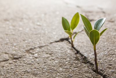 When It All Feels Like a Dead-End, Build Mental Strength. You Will Be Invincible